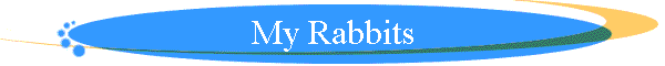 My Rabbits