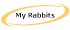 My Rabbits